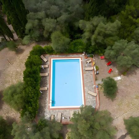Villa I Tigli Campiglia Marittima Εξωτερικό φωτογραφία