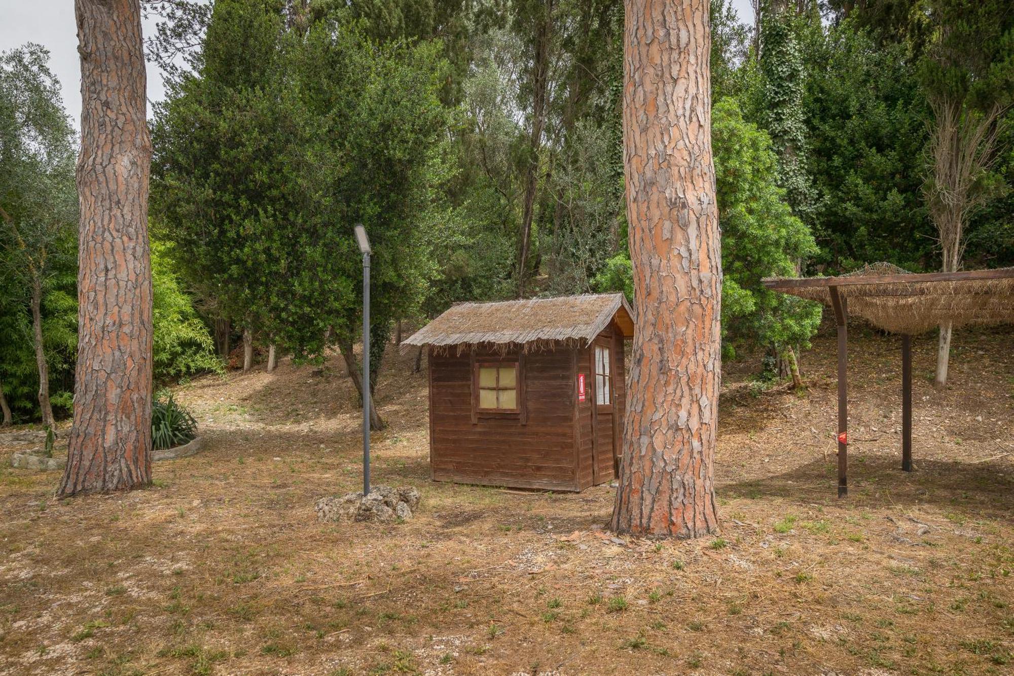 Villa I Tigli Campiglia Marittima Εξωτερικό φωτογραφία