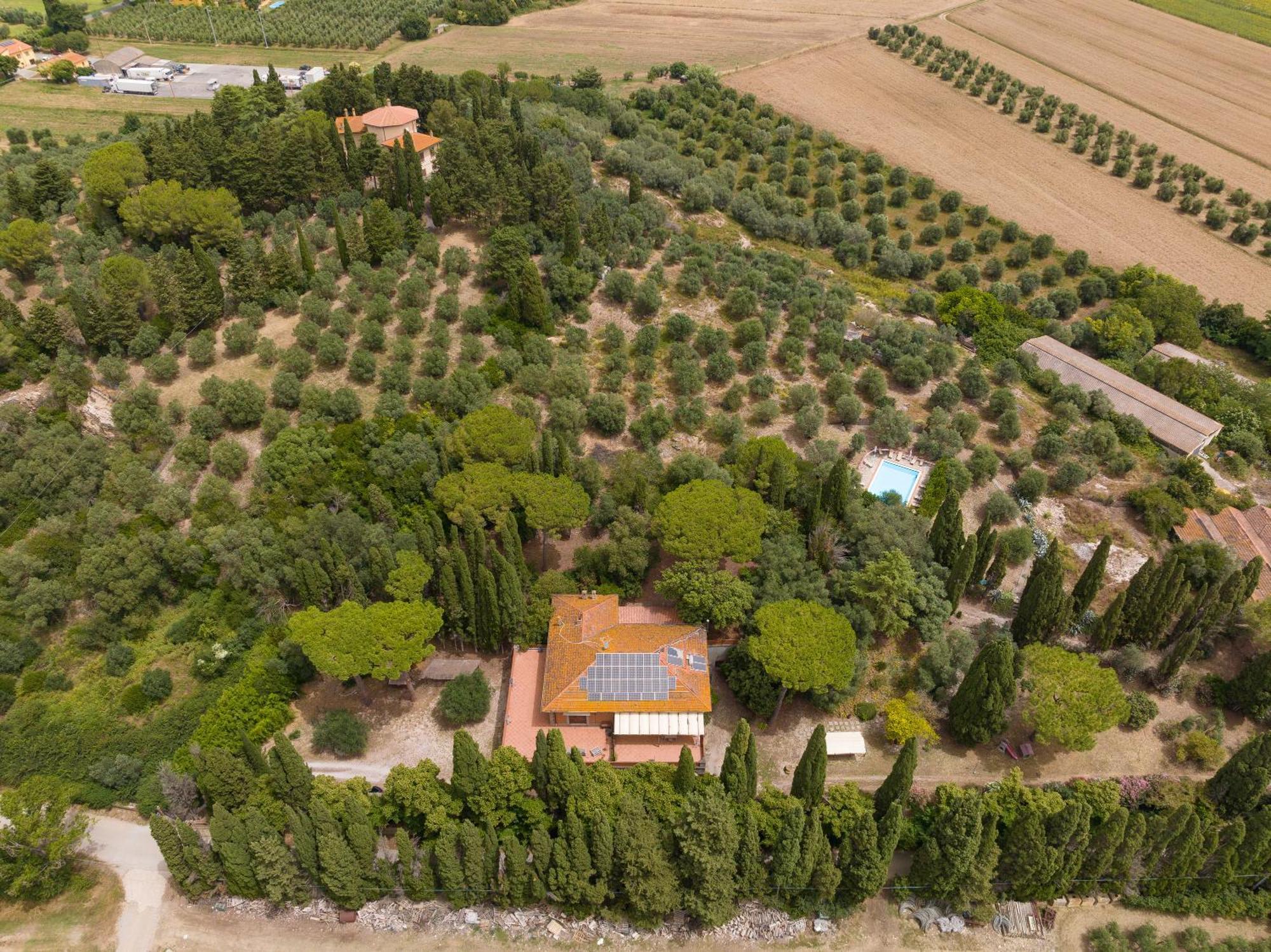 Villa I Tigli Campiglia Marittima Εξωτερικό φωτογραφία