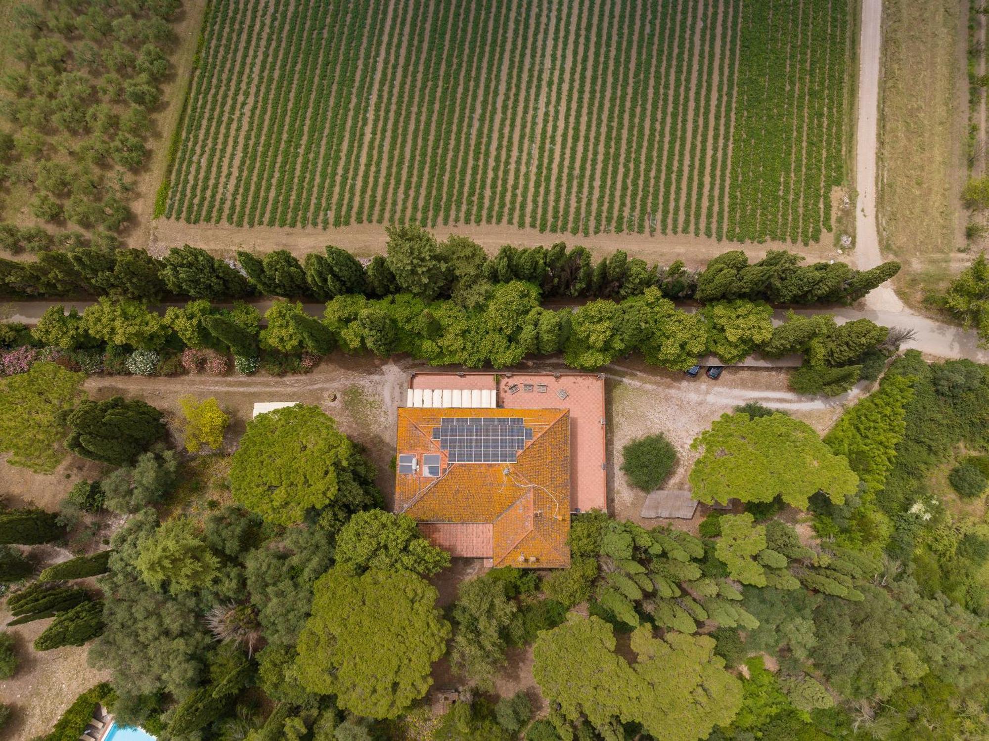 Villa I Tigli Campiglia Marittima Εξωτερικό φωτογραφία