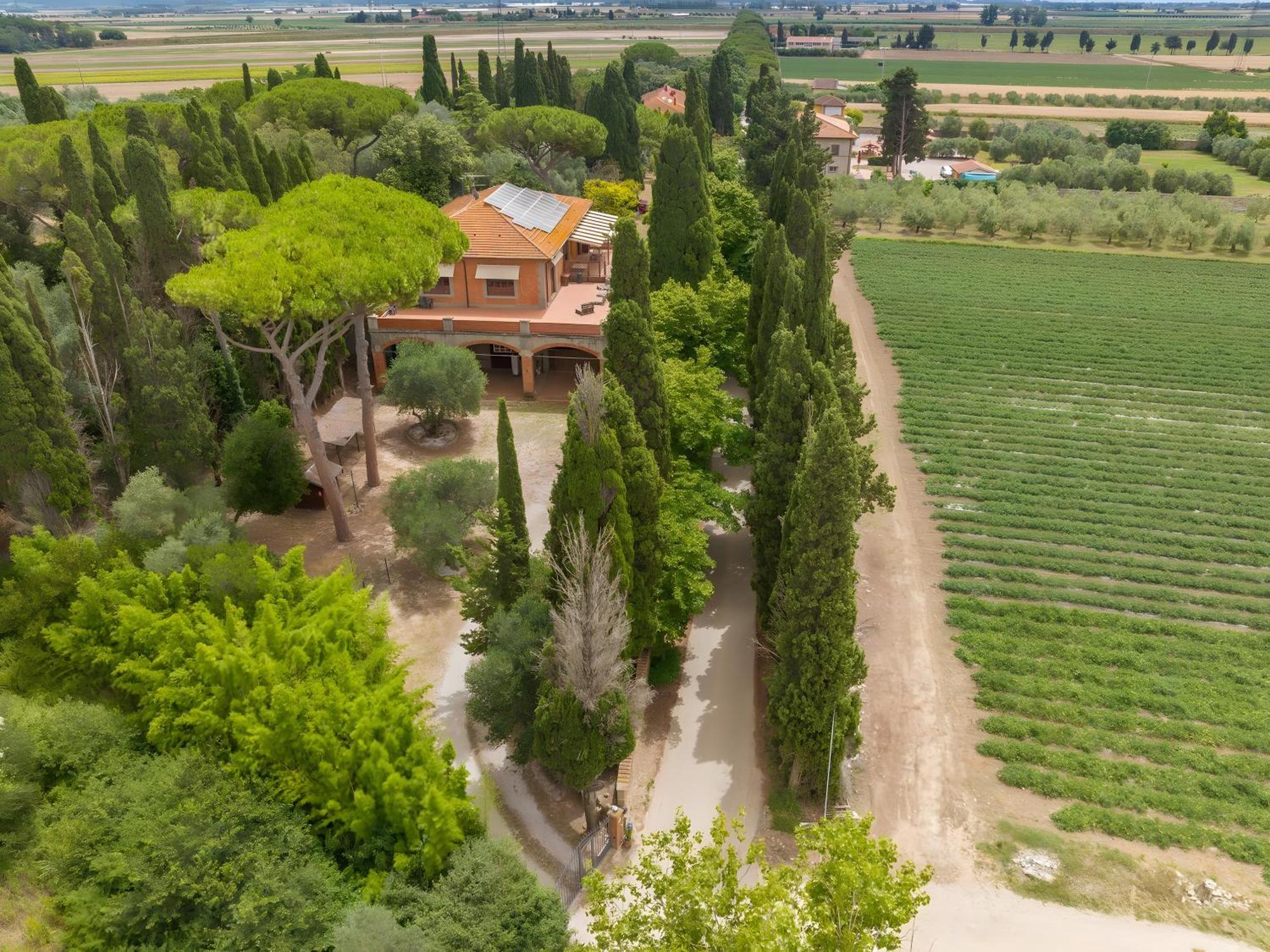 Villa I Tigli Campiglia Marittima Εξωτερικό φωτογραφία